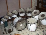 bermuda's drums.jpg