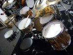 Sonor Delite Tiger_06.jpg