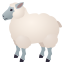 1610677238693.png 1610677238693.png