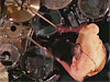 Mike Mitchell Drummerworld