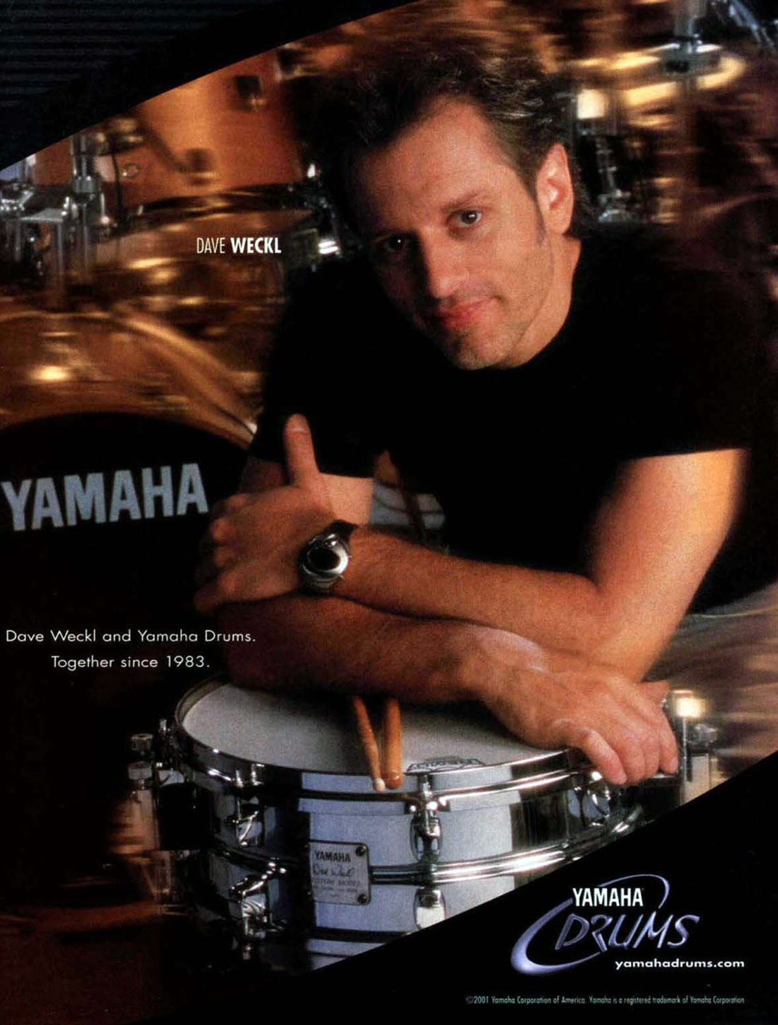 Dave Weckl Drummerworld