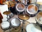 genista w timbales.jpg