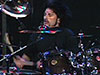 John Tempesta Drummerworld